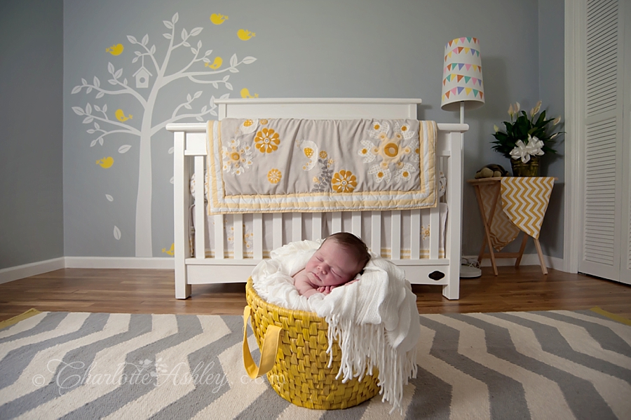 grey and yellow nursery