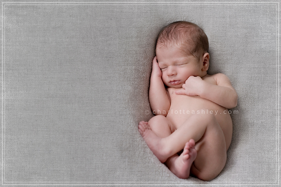 Baby D | Spartanburg, SC Newborn Photographer