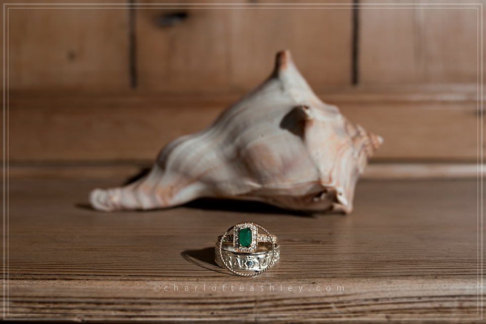 Wedding Rings | Charlotte Ashley Photography