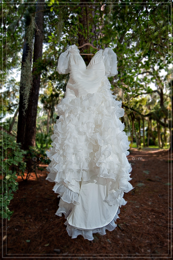 Wedding Dress | Charlotte Ashley Photography