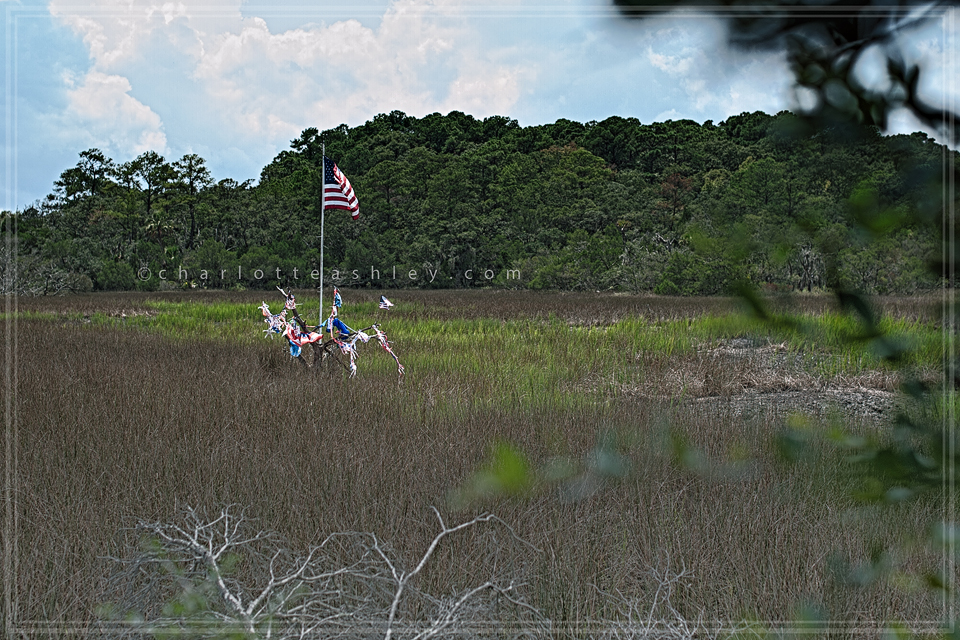 Allen and Mary | Edisto Beach, SC Wedding Photographer