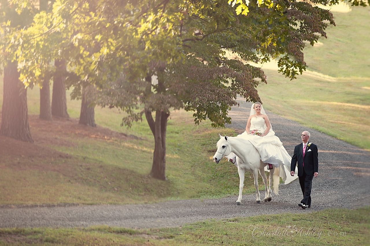 wedding | Charlotte Ashley Photography