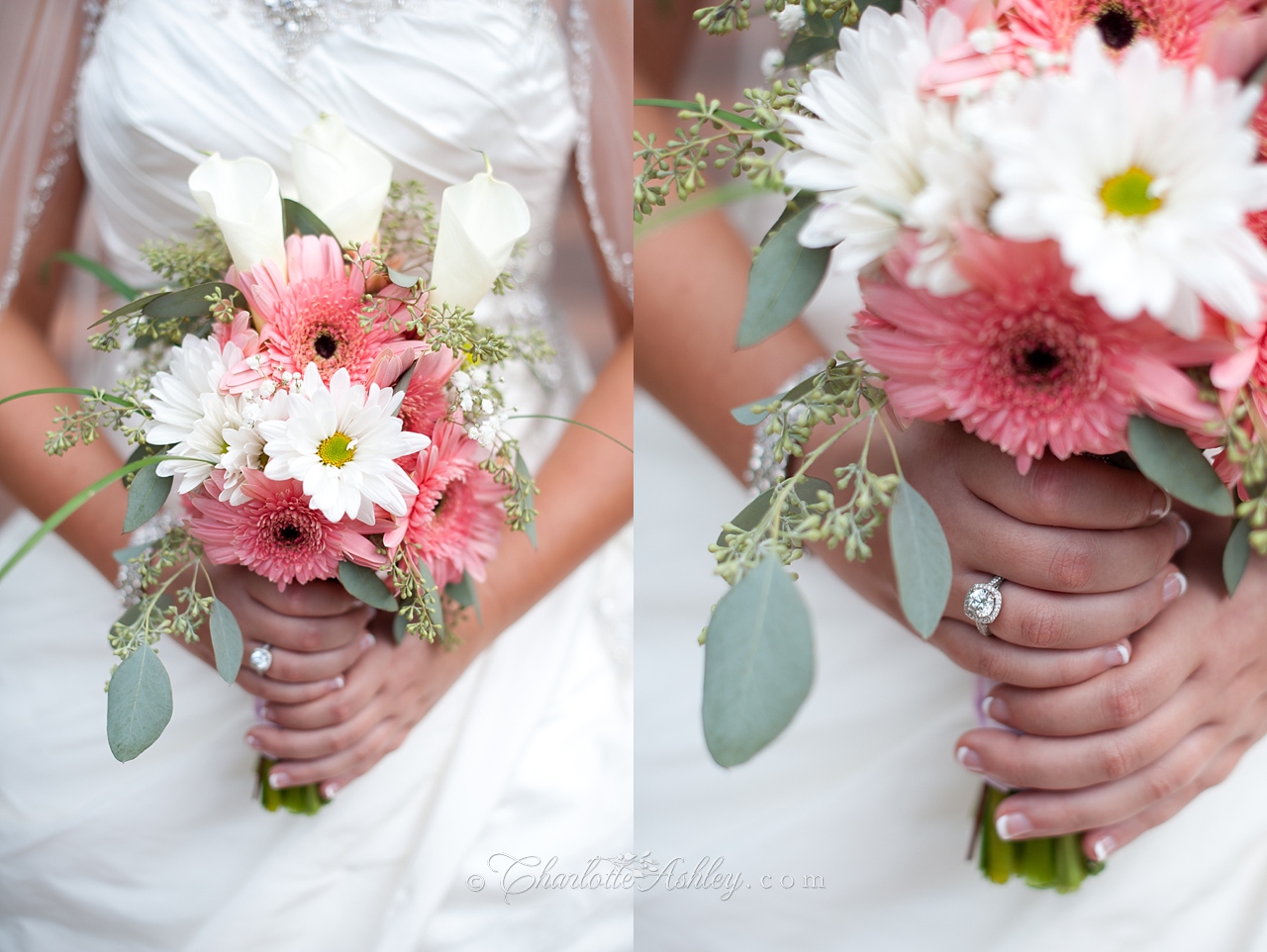 wedding | Charlotte Ashley Photography