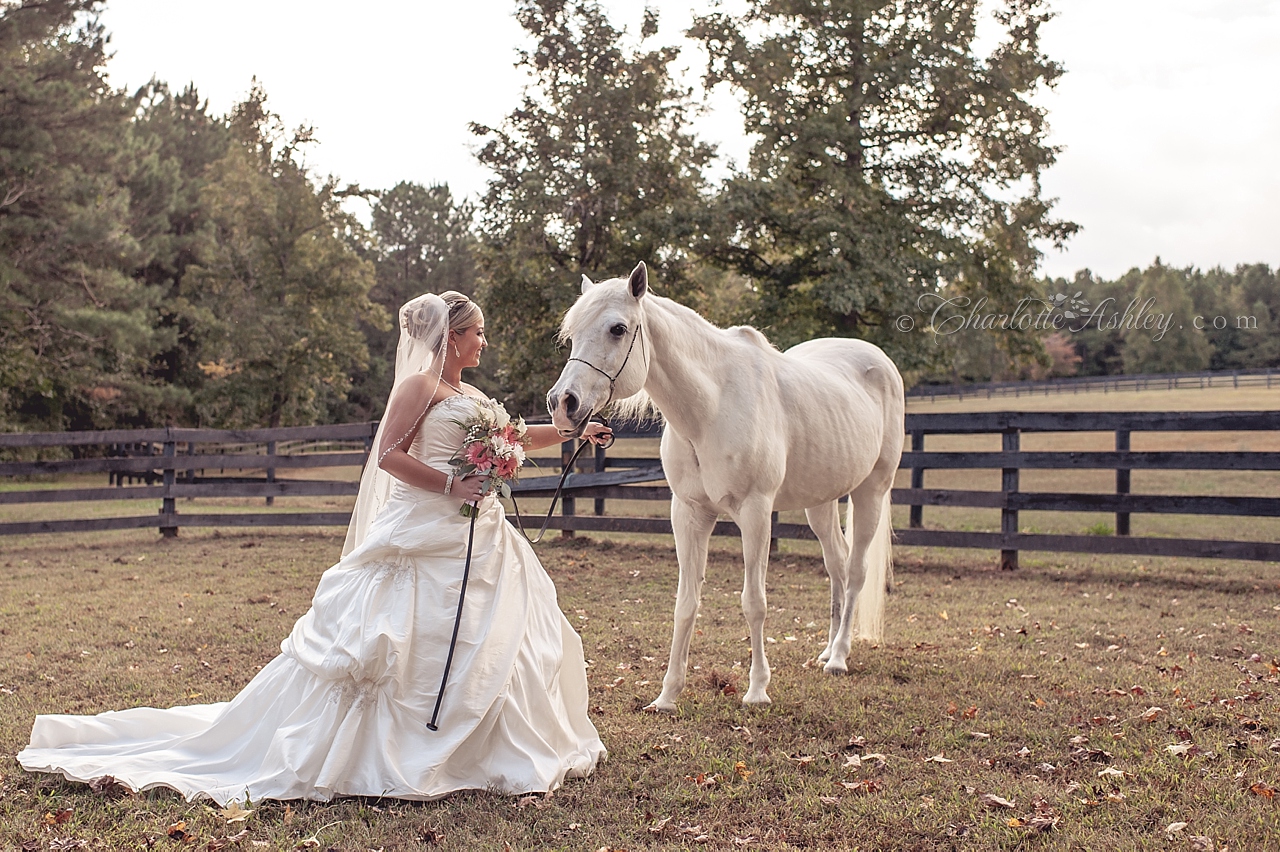 wedding | Charlotte Ashley Photography