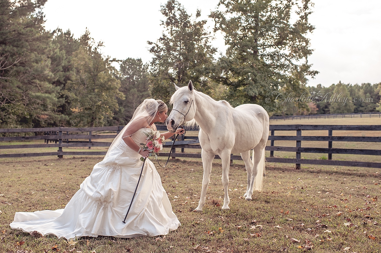 wedding | Charlotte Ashley Photography