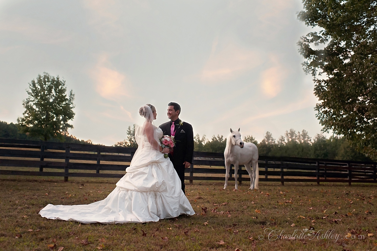 wedding | Charlotte Ashley Photography