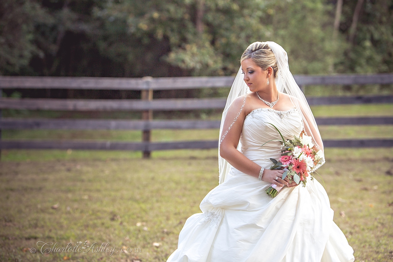 wedding | Charlotte Ashley Photography