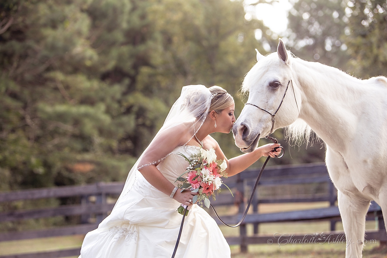 wedding | Charlotte Ashley Photography