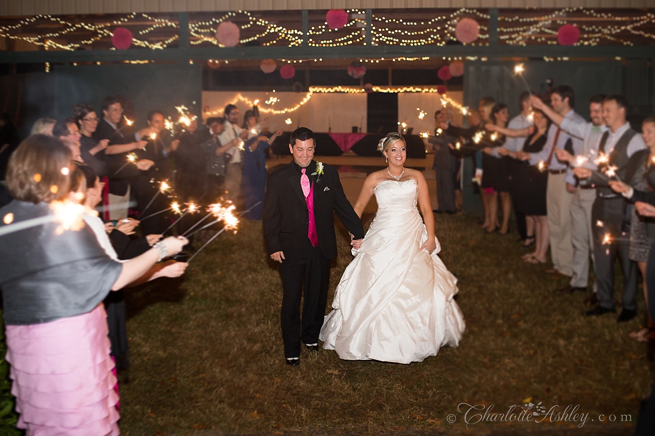 wedding | Charlotte Ashley Photography