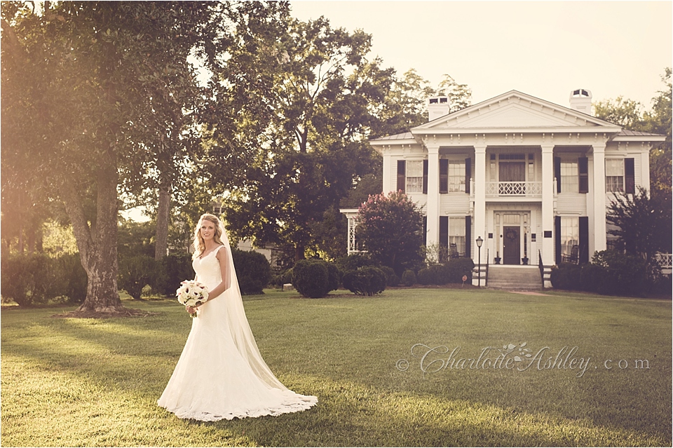 Bridal Portraits | Charlotte Ashley Photography