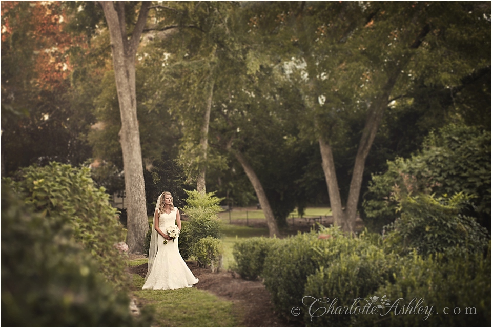 Bridal Portraits | Charlotte Ashley Photography