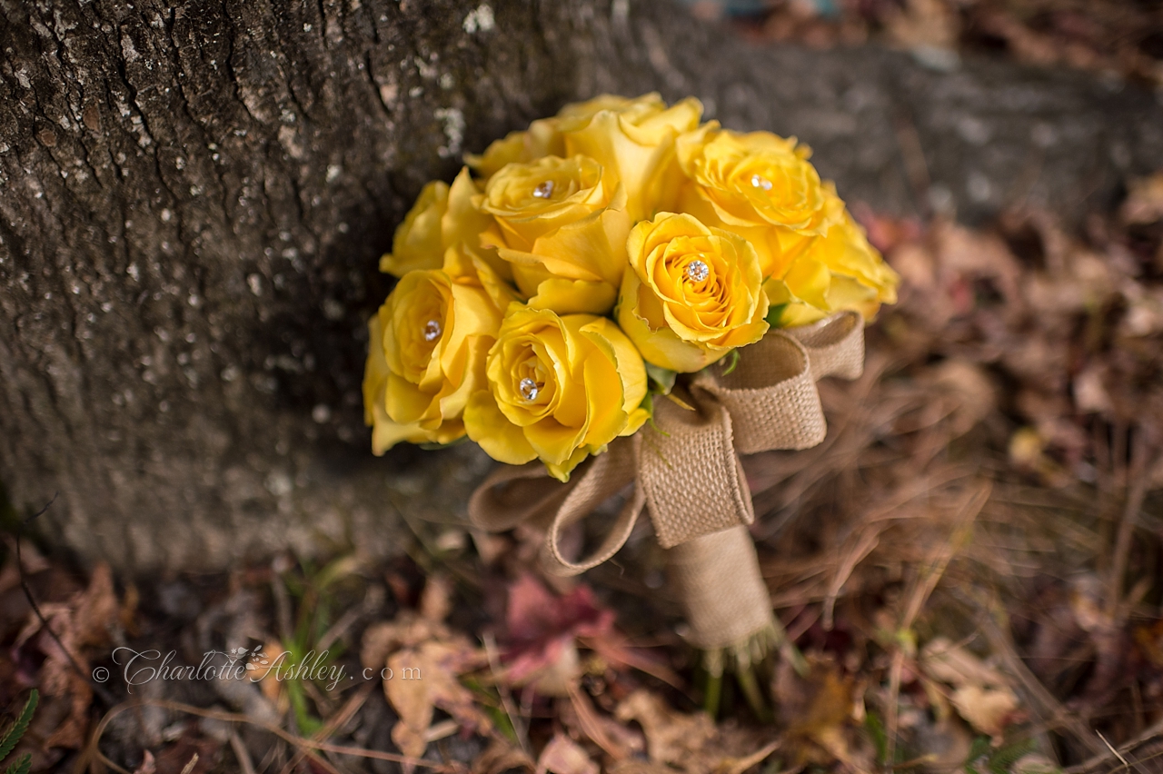 Lakeside Wedding copyright Charlotte Ashley Photography