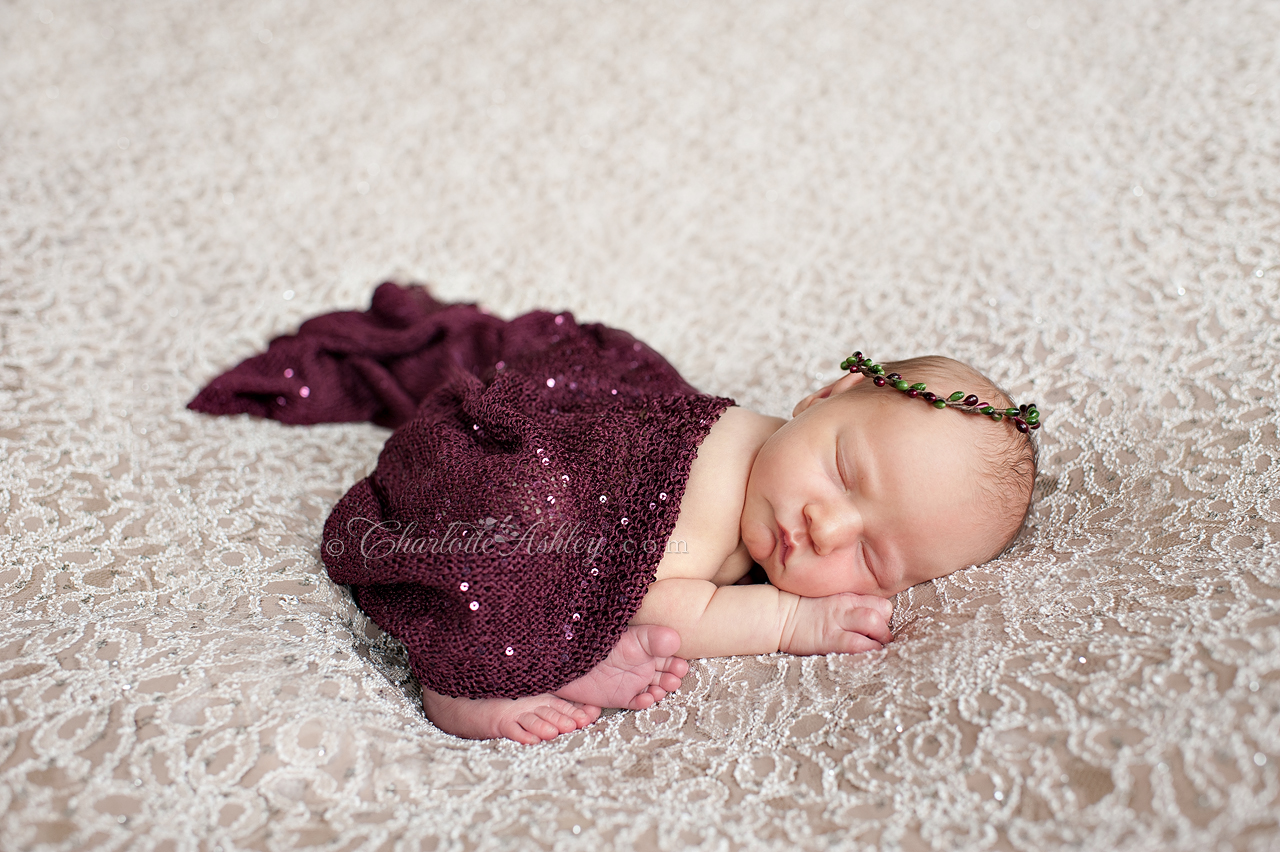 Newborn Copyright Charlotte Ashley Photography