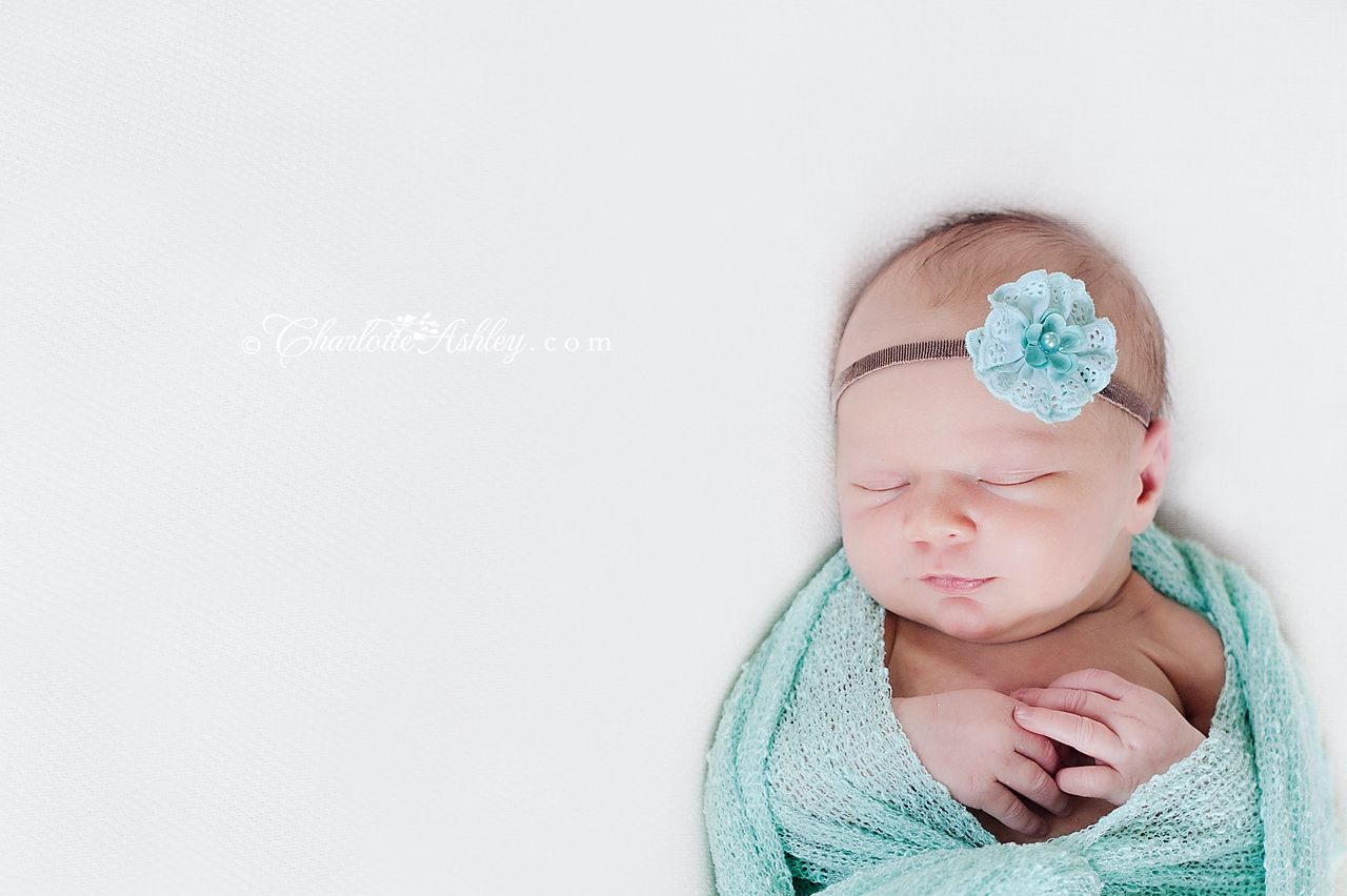 Newborn Copyright Charlotte Ashley Photography