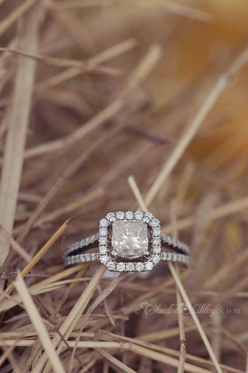 Hopkins SC Engagement | Charlotte Ashley Photography