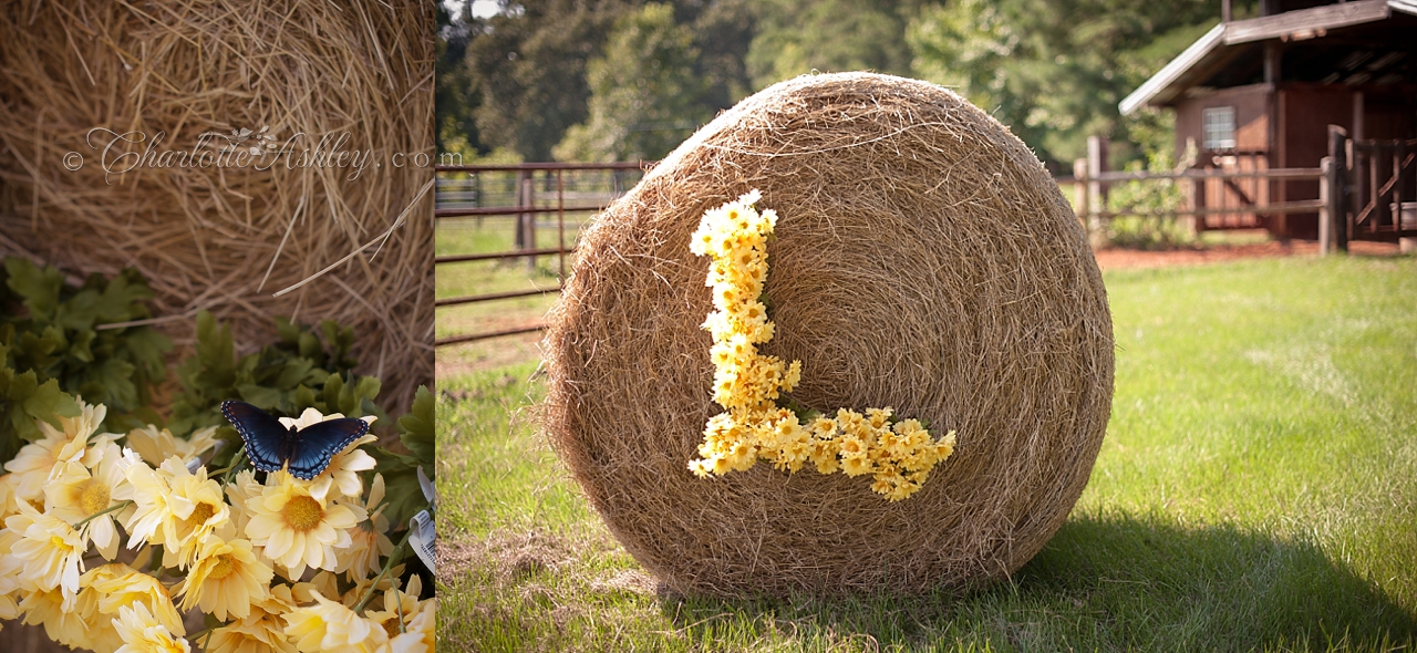 Hopkins SC Engagement | Charlotte Ashley Photography