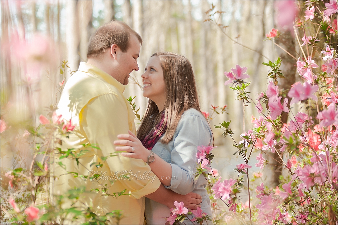 Cypress Gardens Engagement | Charlotte Ashley Photography