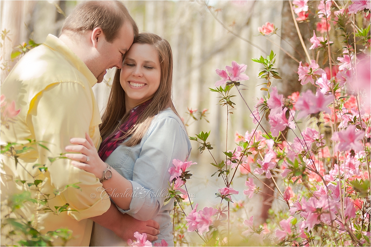 Cypress Gardens Engagement | Charlotte Ashley Photography