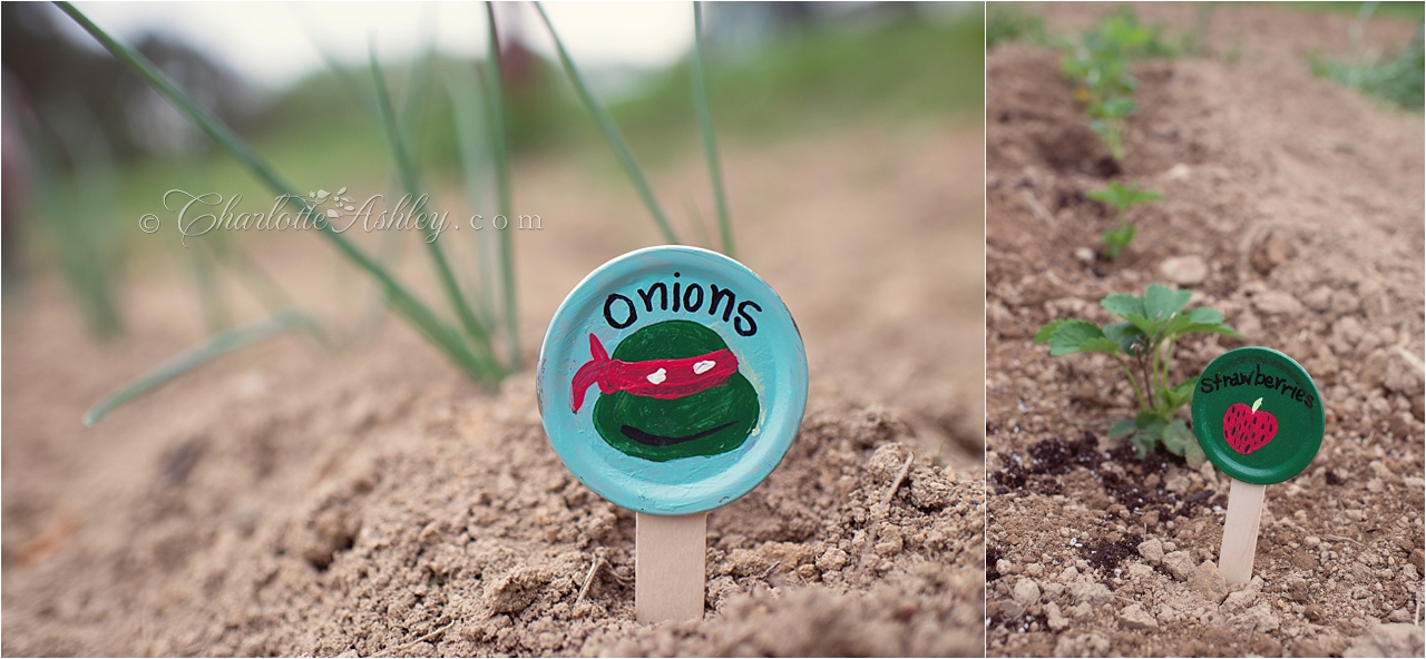 Garden Markers | Charlotte Ashley Photography