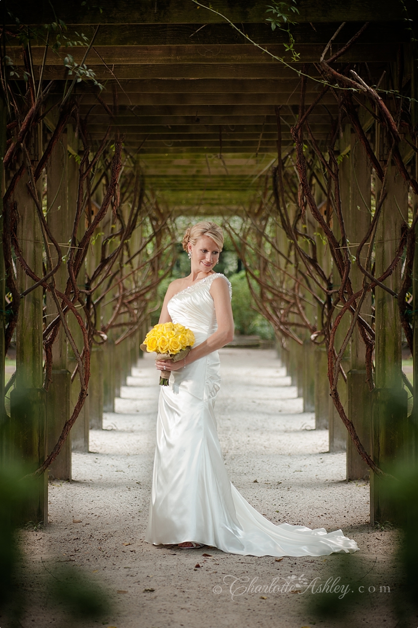 bridal portrait | Charlotte Ashley Photography