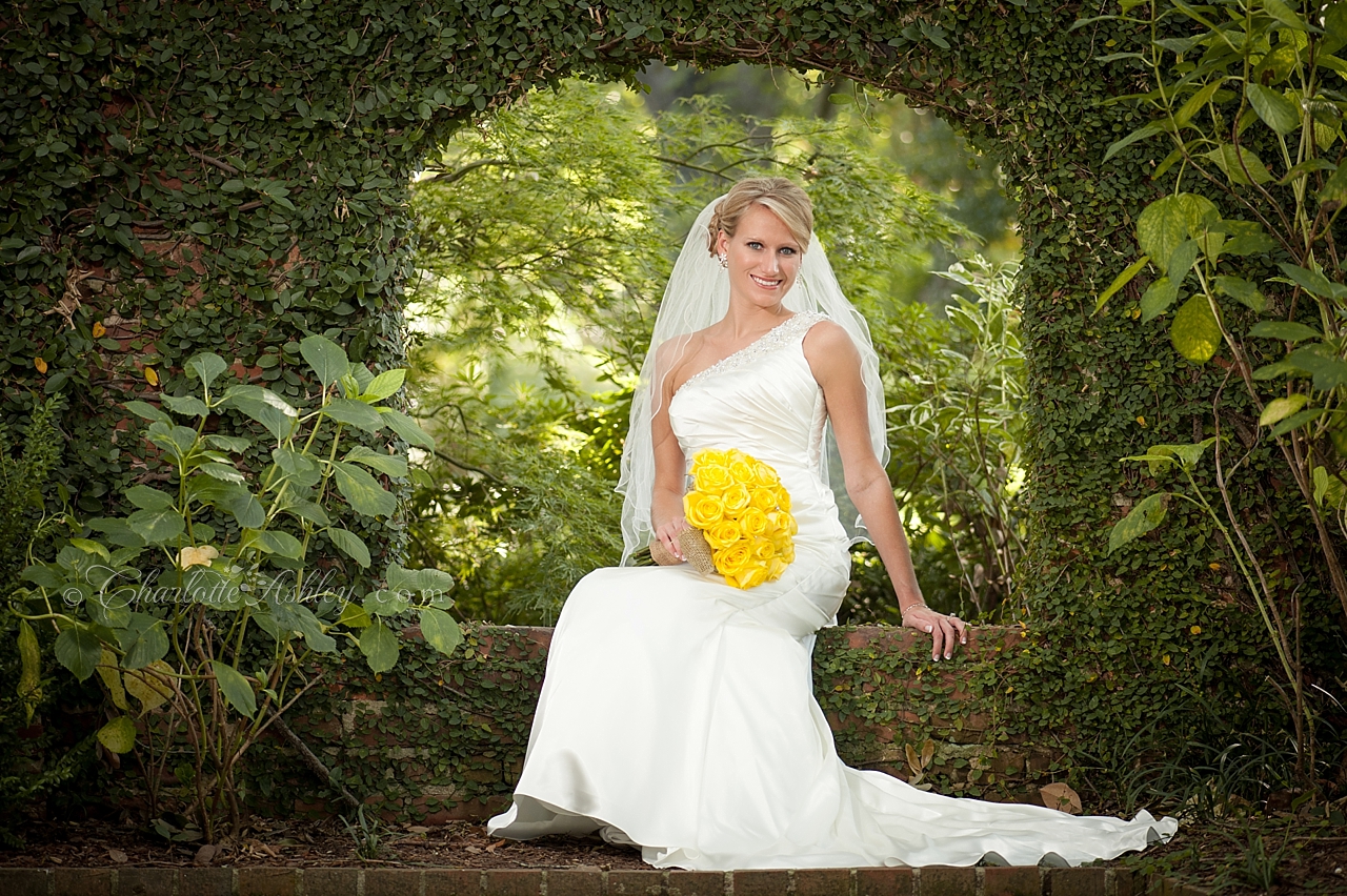 bridal portrait | Charlotte Ashley Photography