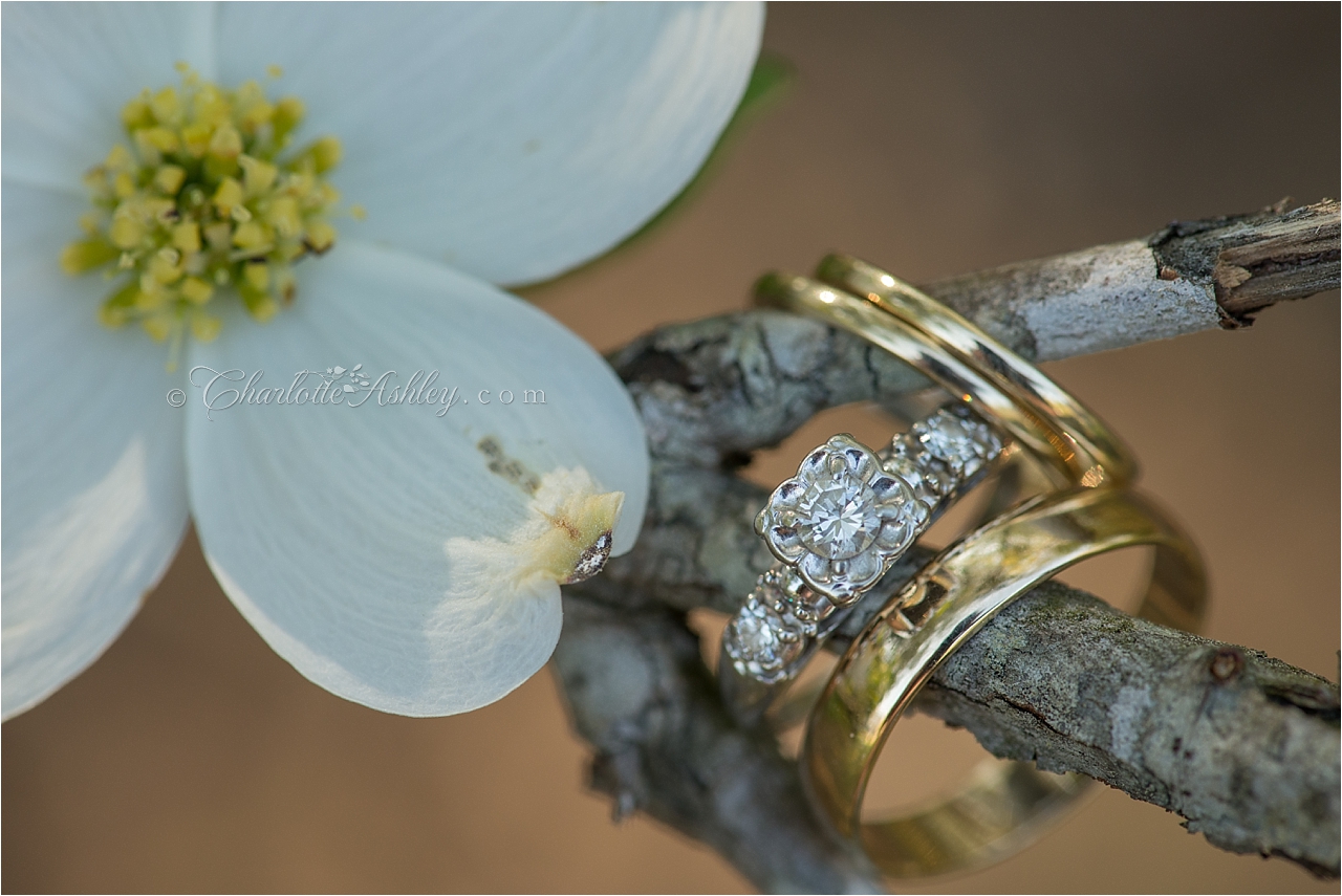 Country Wedding | Charlotte Ashley Photography