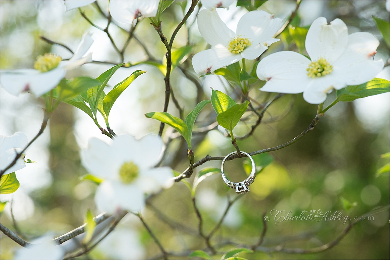 Country Wedding | Charlotte Ashley Photography