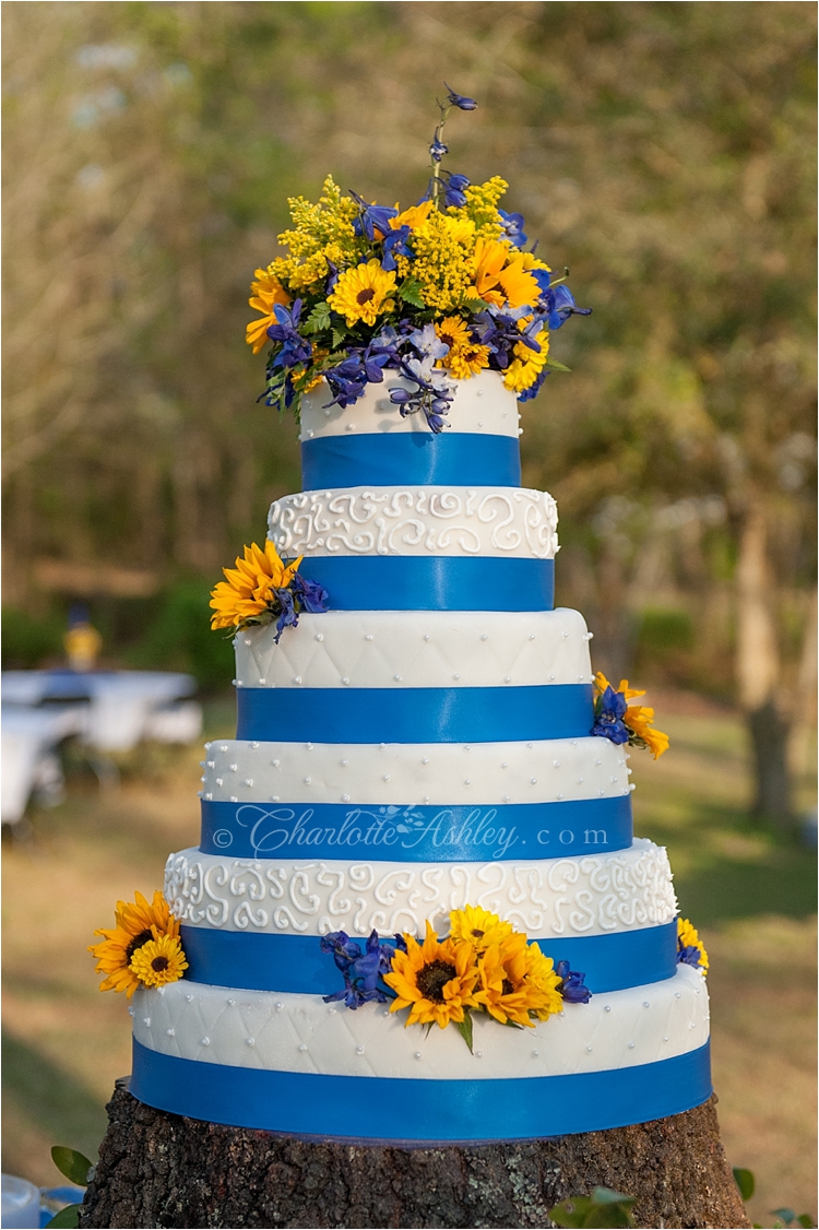 Country Wedding | Charlotte Ashley Photography