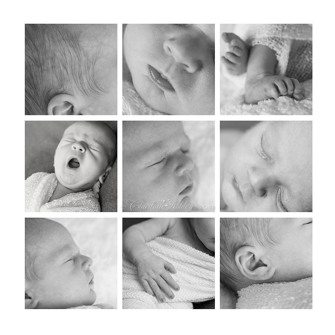 Newborn | Charlotte Ashley Photography