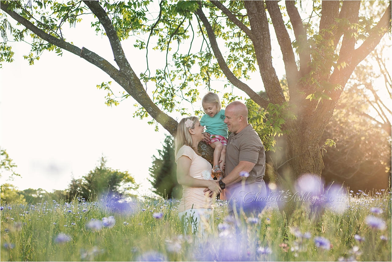 maternity | Charlotte Ashley Photography