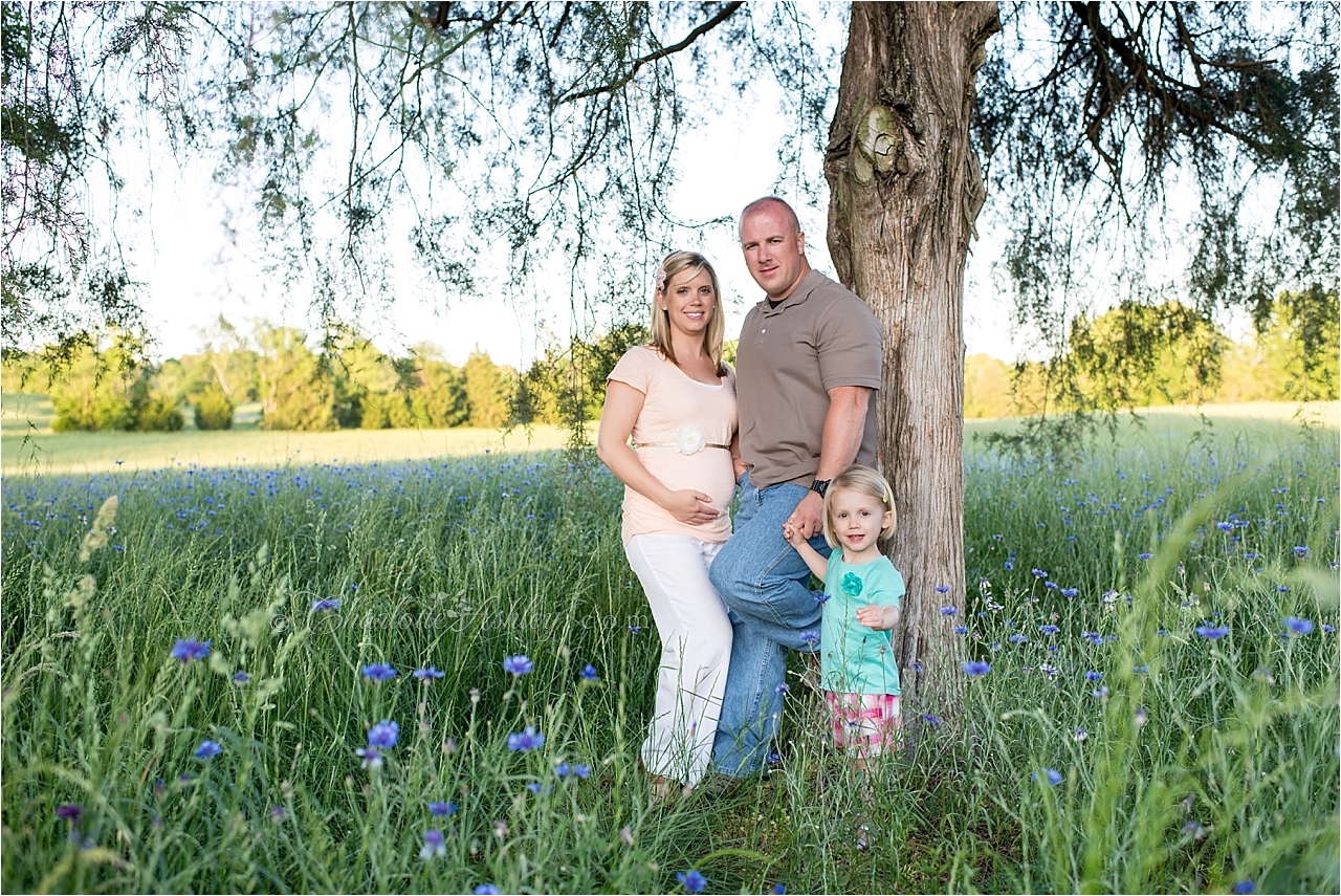 maternity | Charlotte Ashley Photography