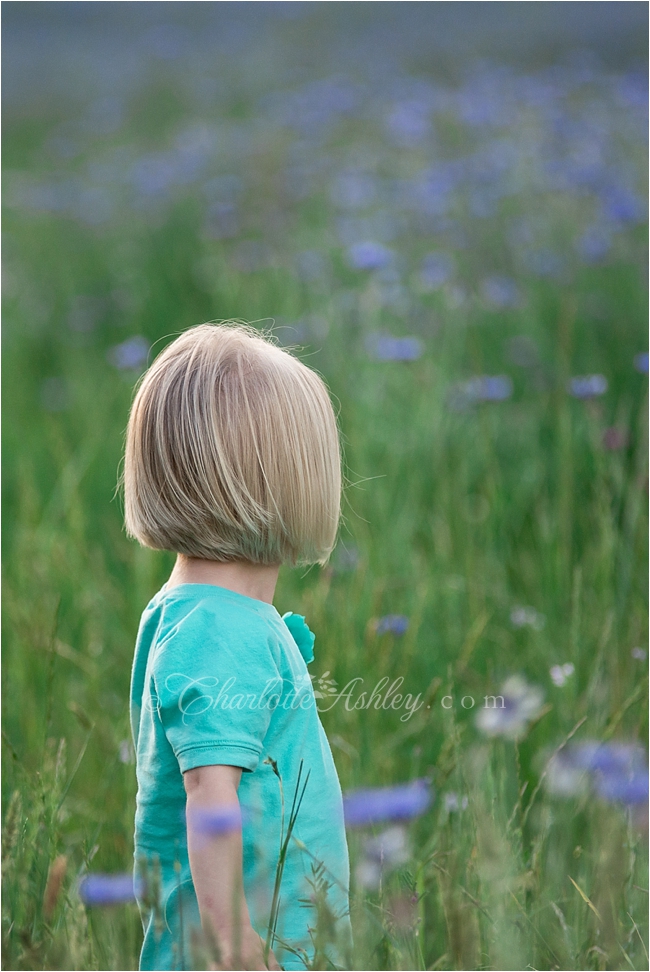 maternity | Charlotte Ashley Photography