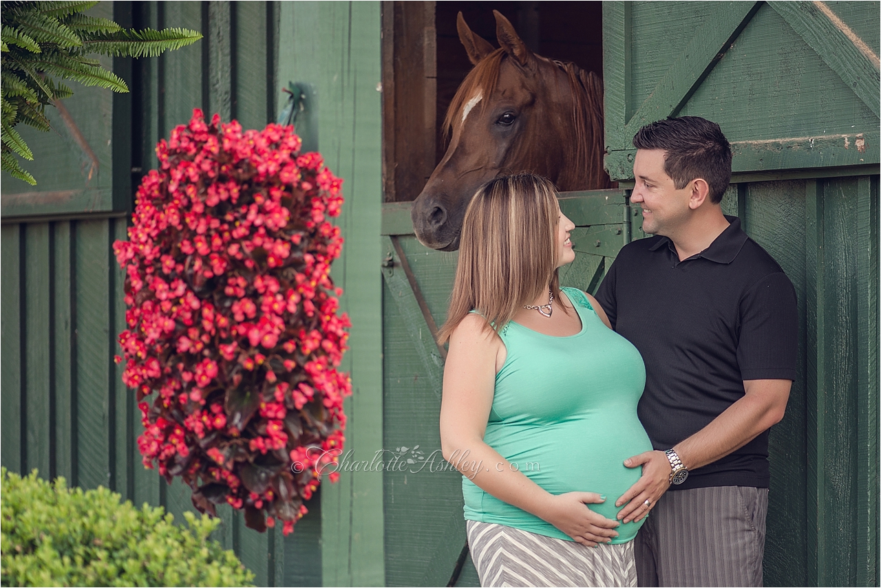 Maternity | Charlotte Ashley Photography