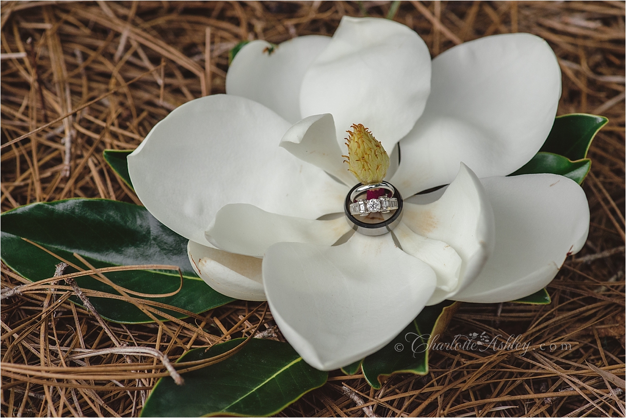 Wedding | Charlotte Ashley Photography