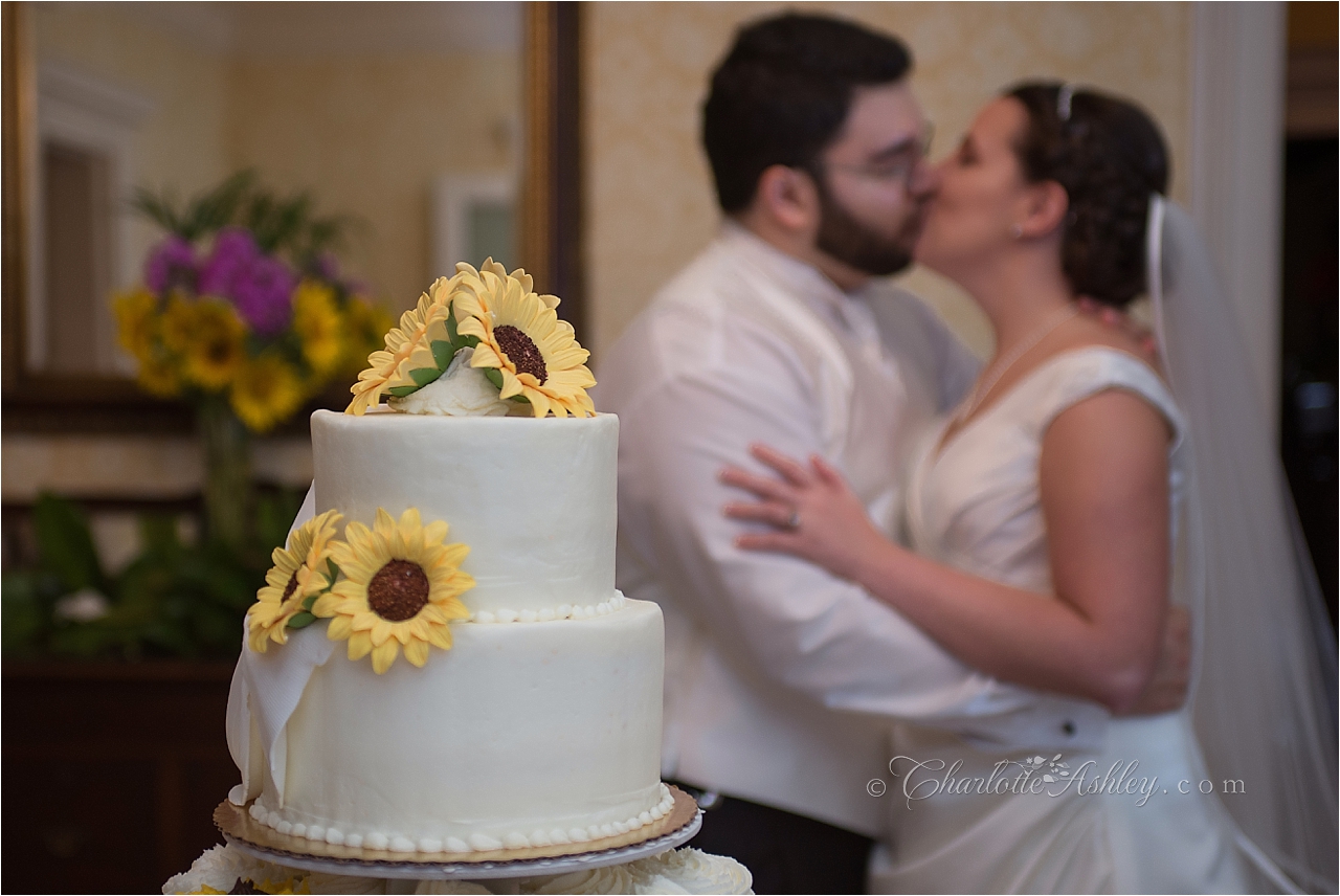 Wedding | Charlotte Ashley Photography