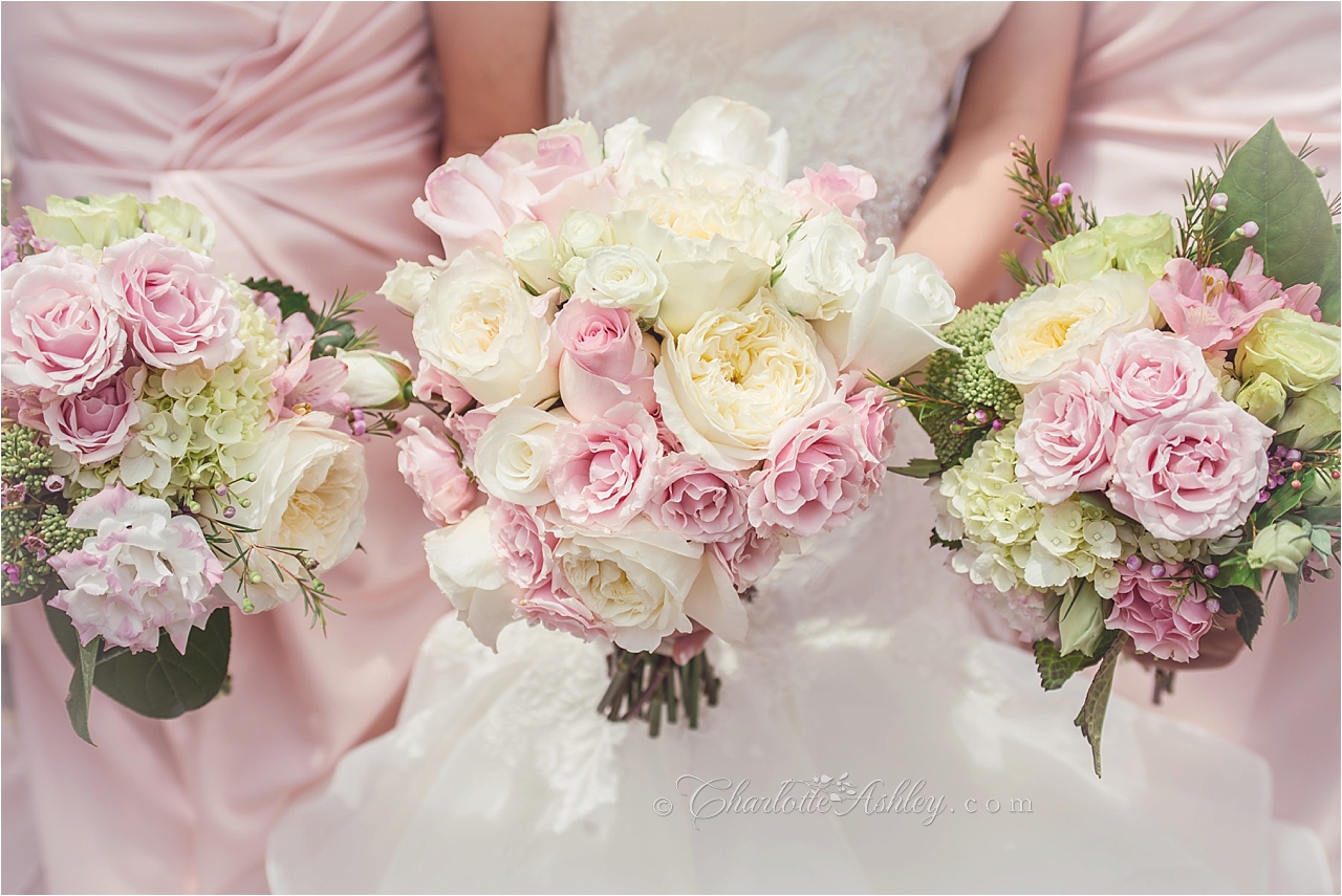 wedding | Copyright Charlotte Ashley Photography