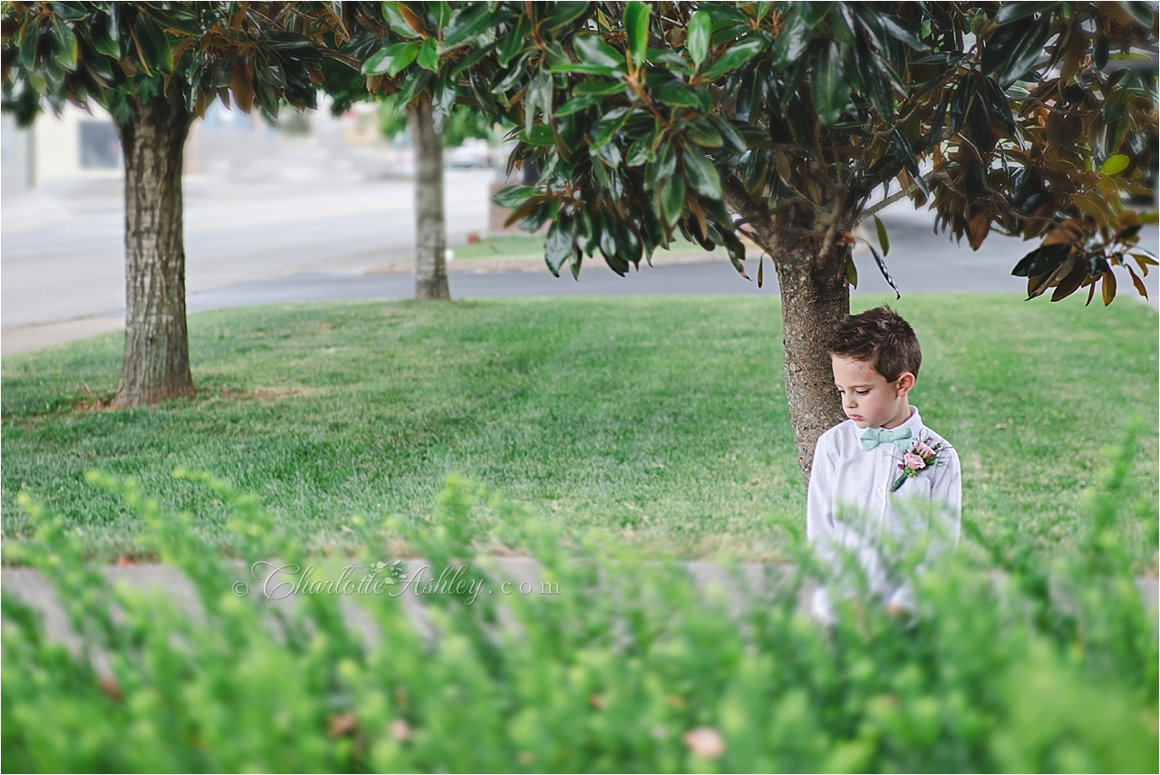 wedding | Copyright Charlotte Ashley Photography