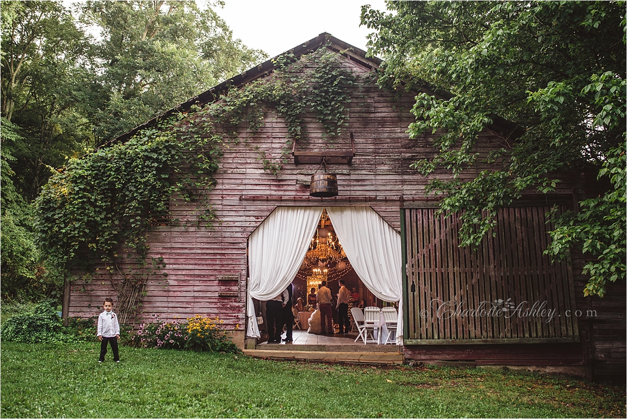 wedding | Copyright Charlotte Ashley Photography