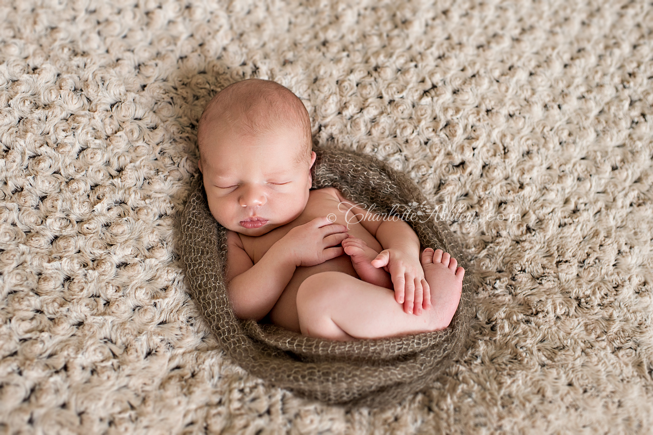 newborn | Charlotte Ashley Photography