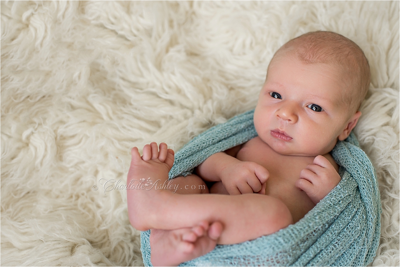 newborn | Charlotte Ashley Photography