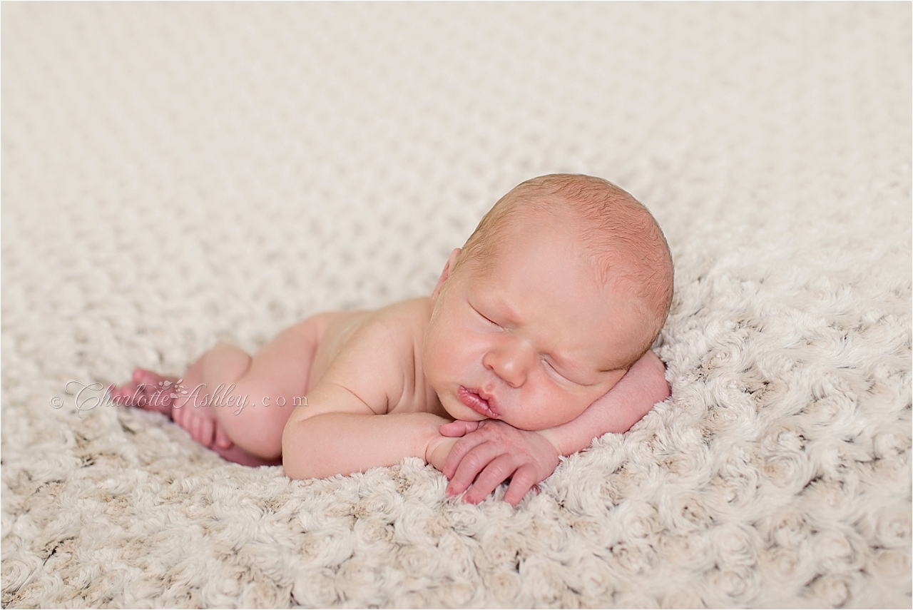 newborn | Charlotte Ashley Photography