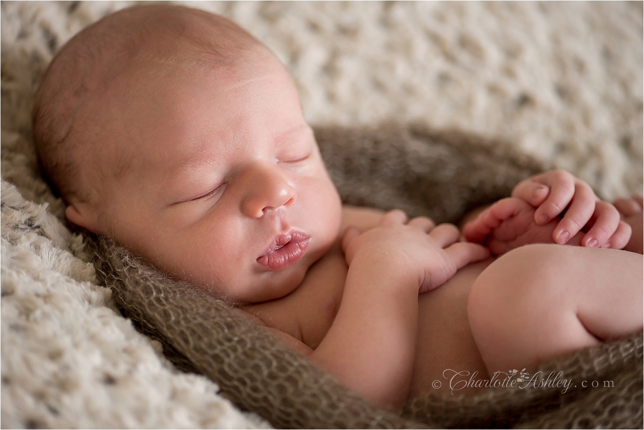 newborn | Charlotte Ashley Photography