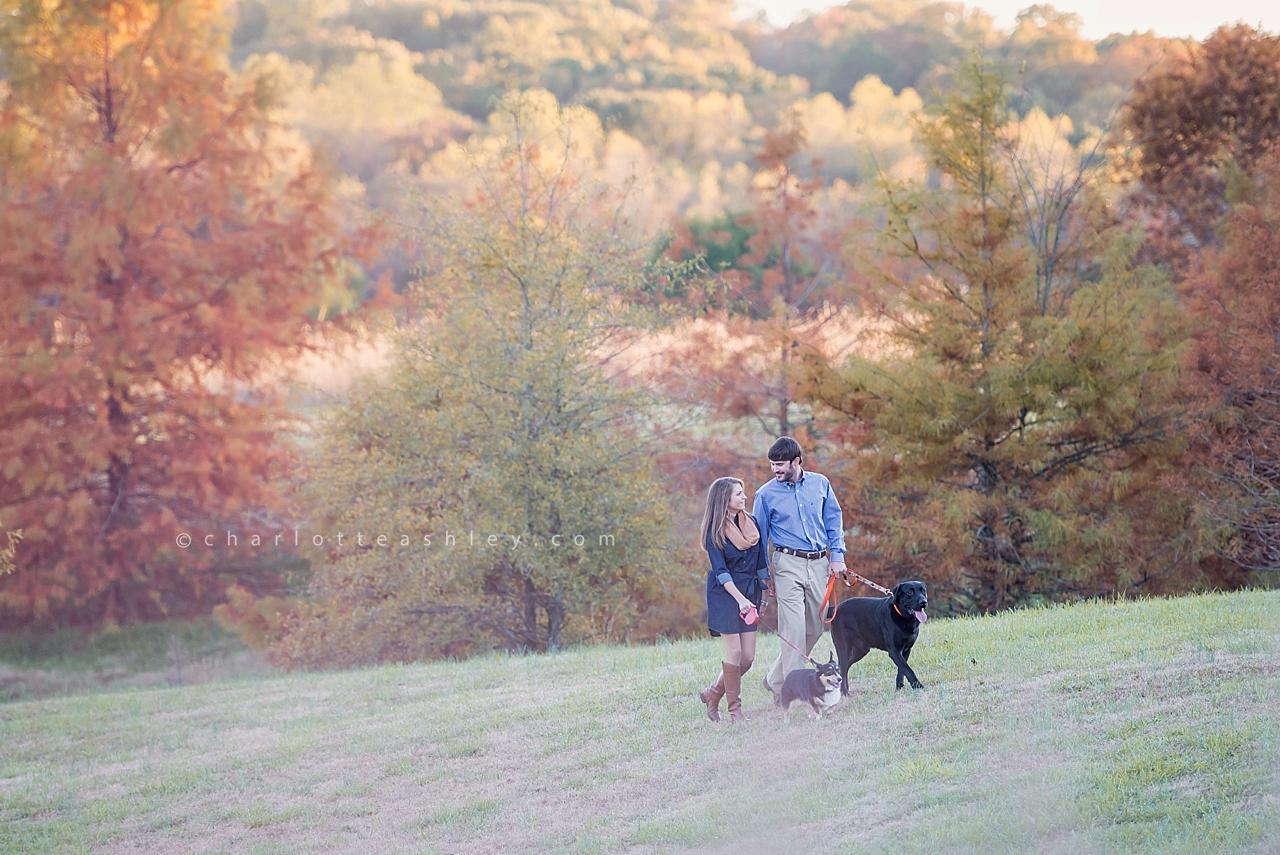 copyright | Charlotte Ashley Photography