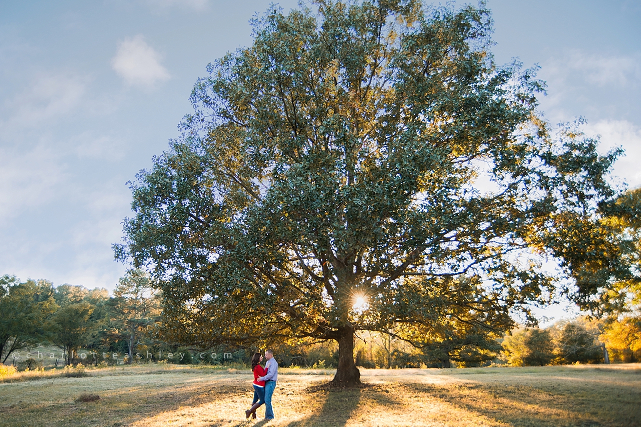 copyright | Charlotte Ashley Photography