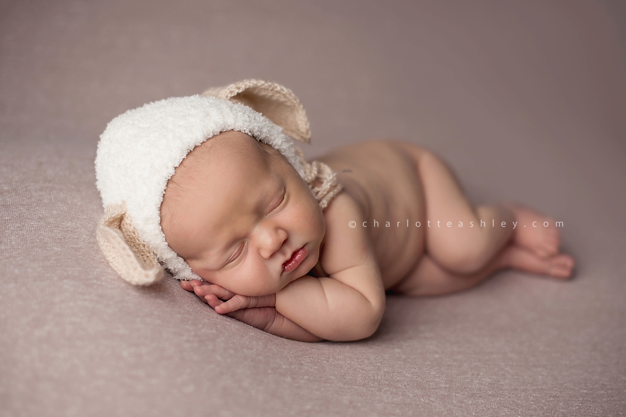 newborn photography | Charlotte Ashley Photography