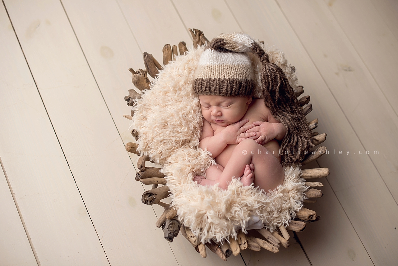 newborn photography | Charlotte Ashley Photography