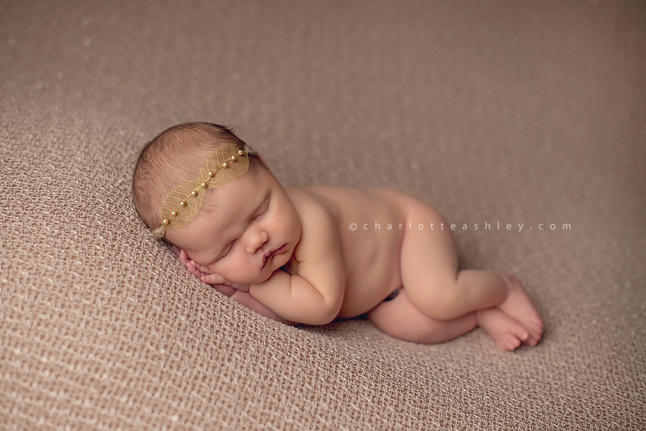 newborn photography | Charlotte Ashley Photography