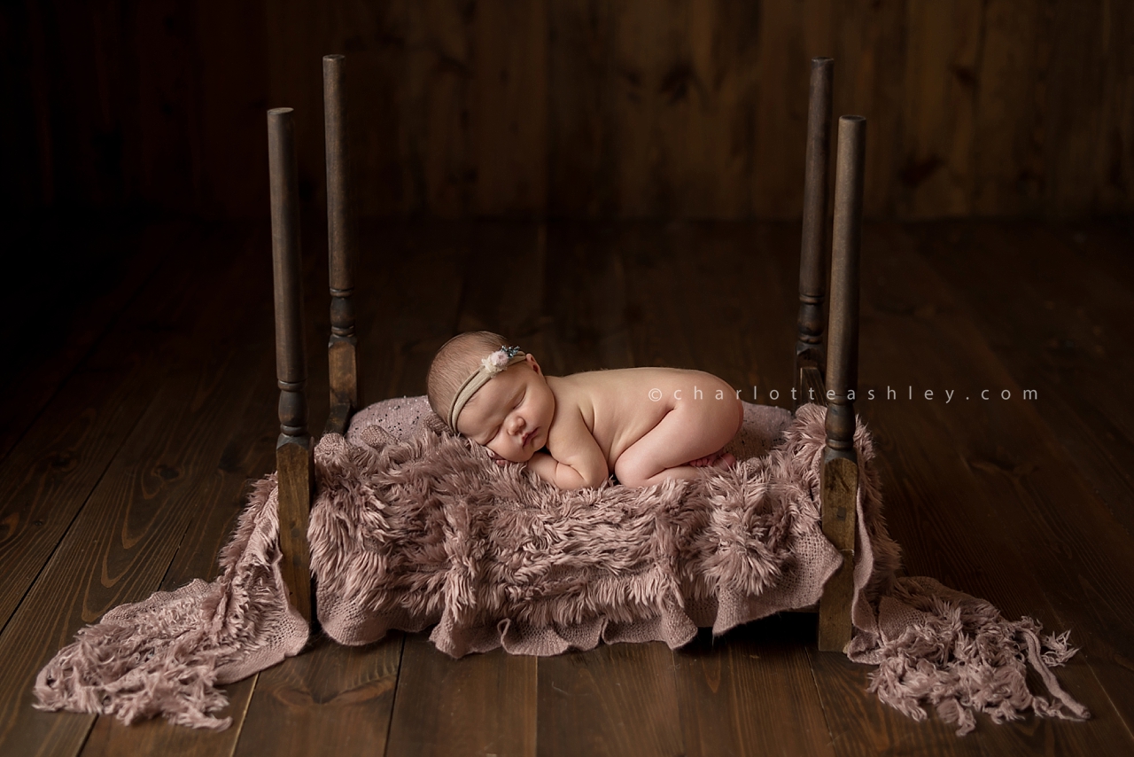 newborn photography | Charlotte Ashley Photography