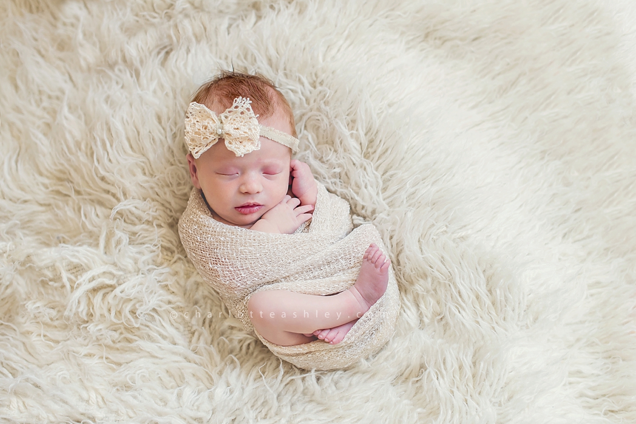 newborn photography | Charlotte Ashley Photography