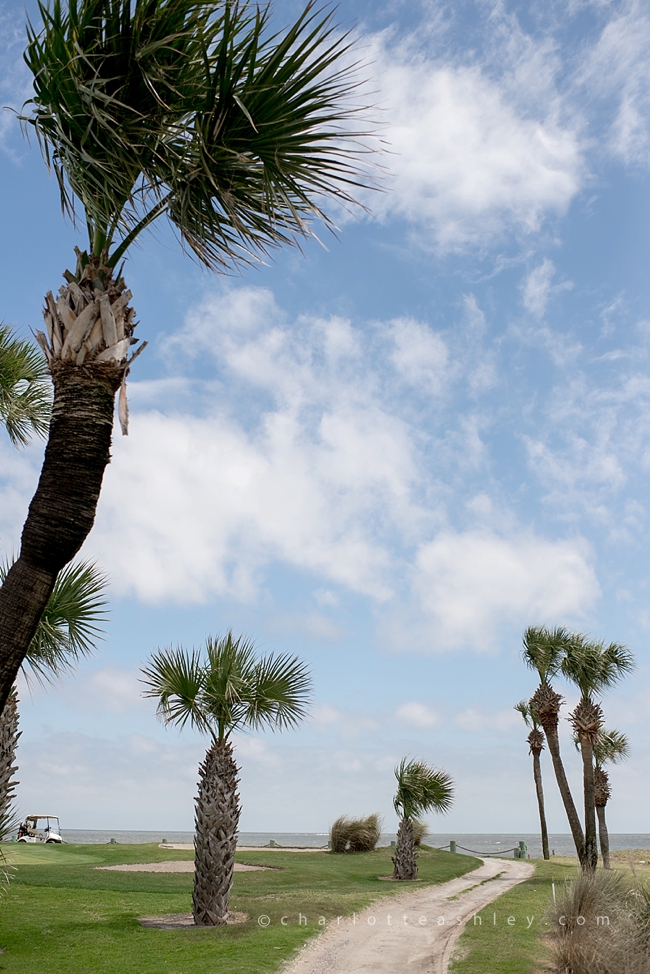 Fripp Island Wedding | Charlotte Ashley Photography